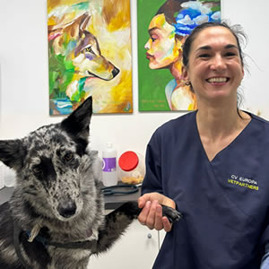 Eva María Gloshmann Veterinario Tarifa Eva María Gloshmann Veterinario Tarifa