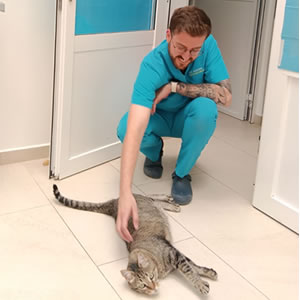 Mario Garcia Veterinario Tarifa Mario Garcia Veterinario Tarifa